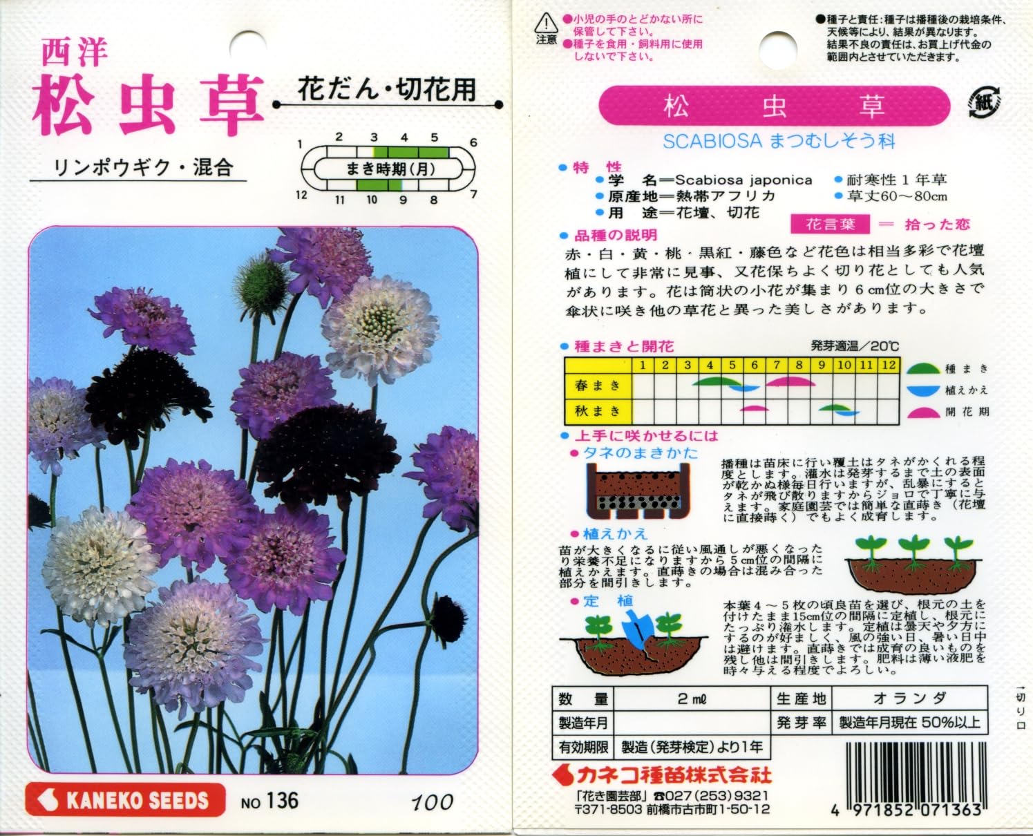 KS100 カネコ種苗 園芸・種 KS100シリーズ 西洋松虫草 リンボウギク・混合 草花100 136