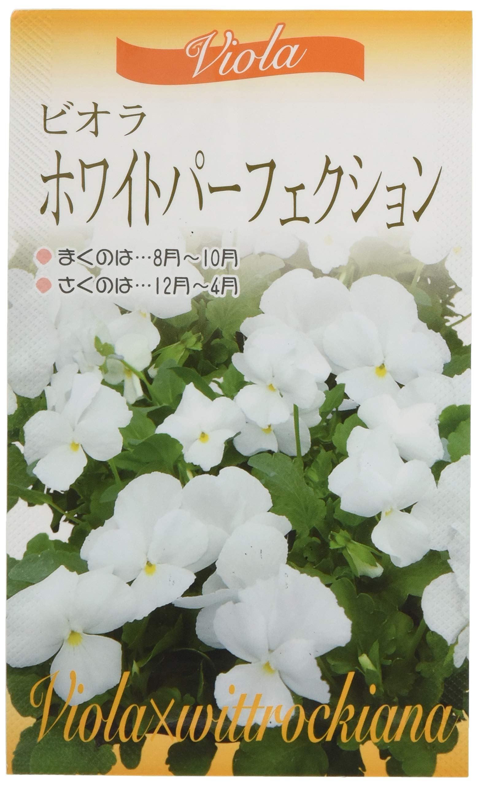 310772 福花園種苗 絵袋詰種子『ビオラ・ホワイトパーフェクション』 310772