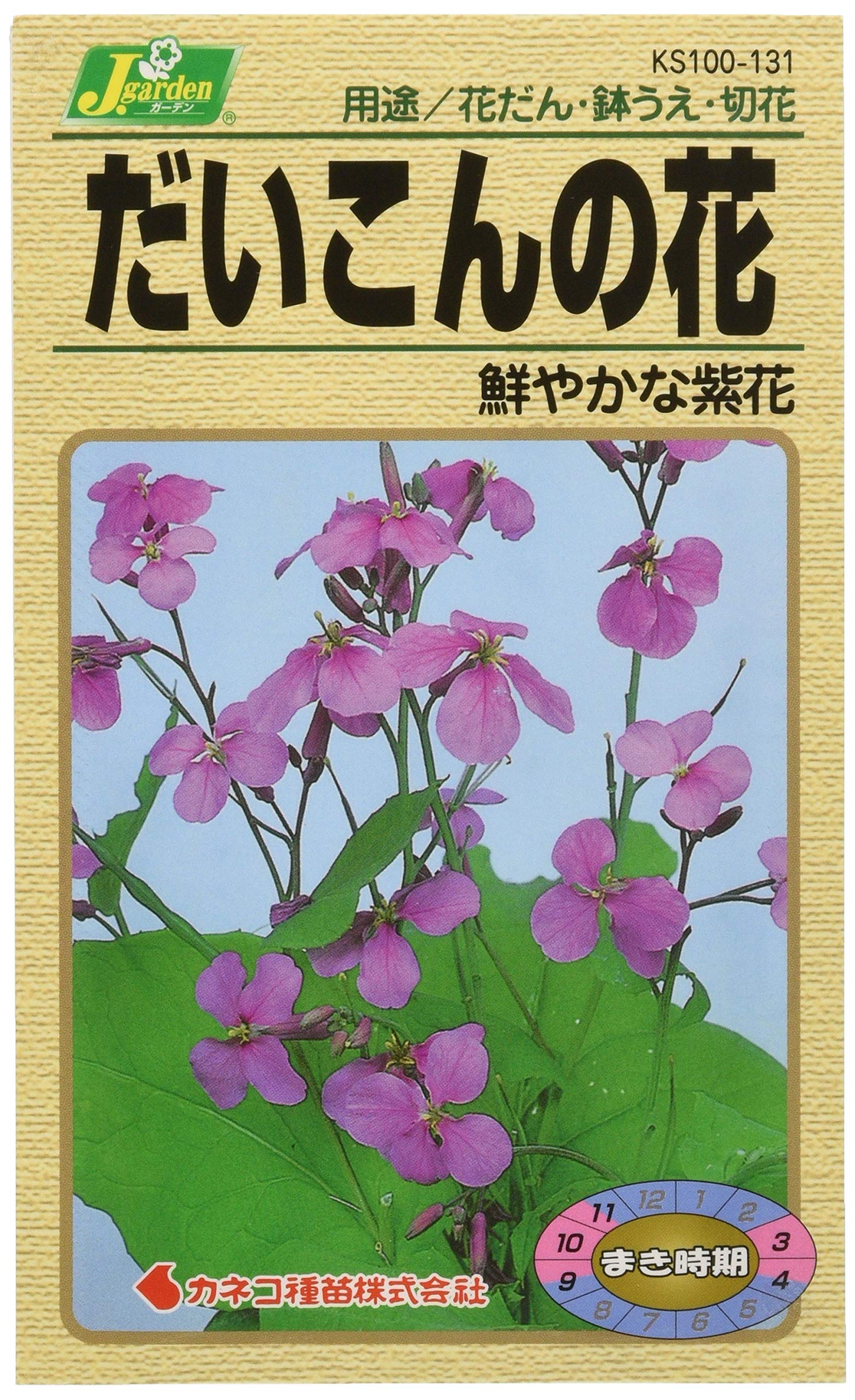 KS100 カネコ種苗 園芸・種 KS100シリーズ だいこんの花 鮮やかな紫花 草花100 131