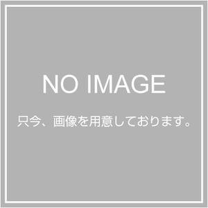 4X50X50X100-50 エルテテ エッジボード 4x50x50x100-50 4X50X50X100-50 【50本入】