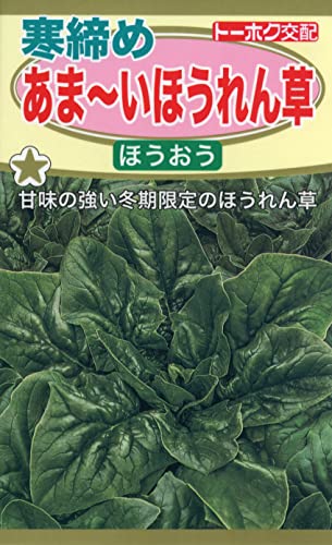 4853 株式会社トーホク 寒締めあまいほうれん草 ほうおう 04853