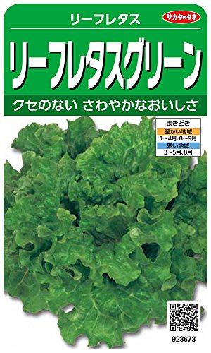 923673 サカタのタネ 実咲野菜3673 リーフレタスグリーン リーフレタス 00923673