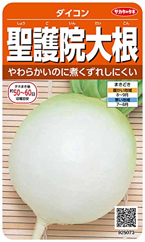 925073 サカタのタネ 実咲野菜5073 聖護院大根