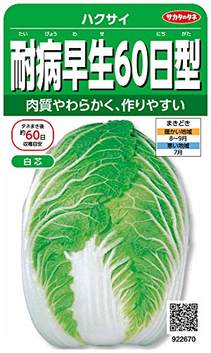 922670 実咲野菜 ハクサイ 耐病早生60日 小袋002941